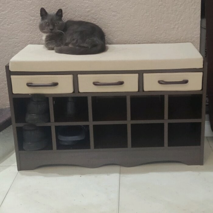 Storage Bench