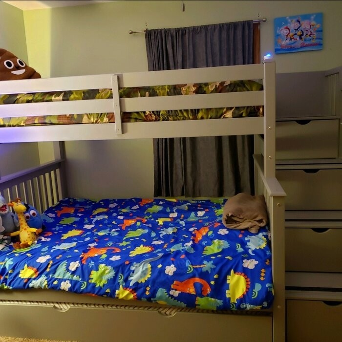 Tena 4 Drawer Solid Wood Standard Bunk Bed with Trundle by Harriet Bee