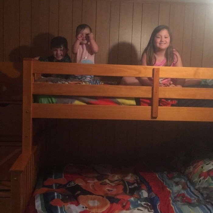Tena 4 Drawer Solid Wood Standard Bunk Bed with Trundle by Harriet Bee