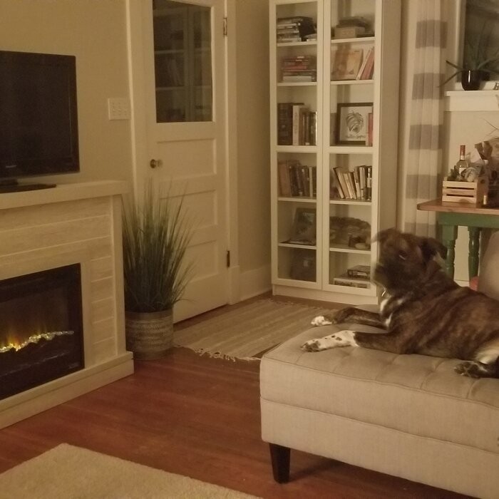 Terrence 47.38'' W Electric Fireplace