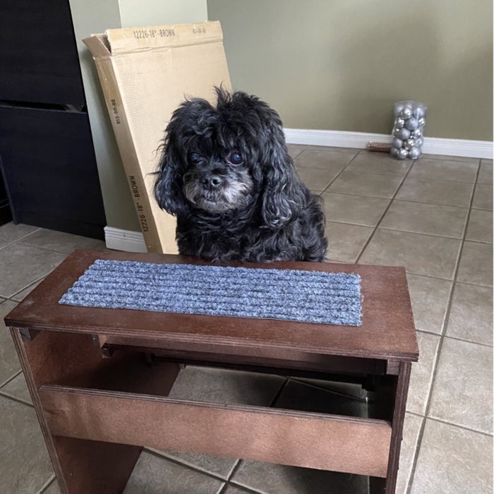 Tucker Murphy™ Pet® Deluxe Wood Pet Stairs Pet- Dog /Cat 3 Steps/Stairs To Access Bed, Sofa, Step Ladder 12226-18"