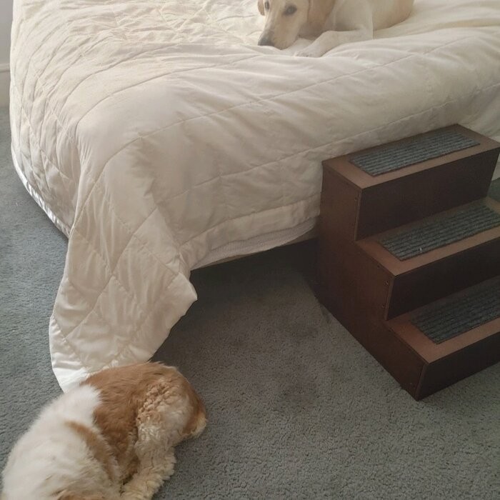 Tucker Murphy™ Pet® Deluxe Wood Pet Stairs Pet- Dog /Cat 3 Steps/Stairs To Access Bed, Sofa, Step Ladder 12226-18"