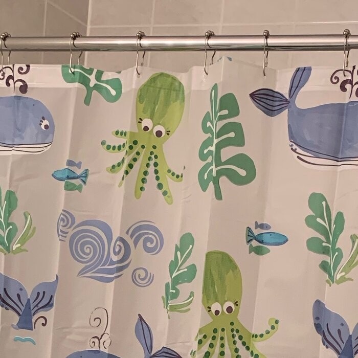 Wayfair Basics Shower Curtain Hooks