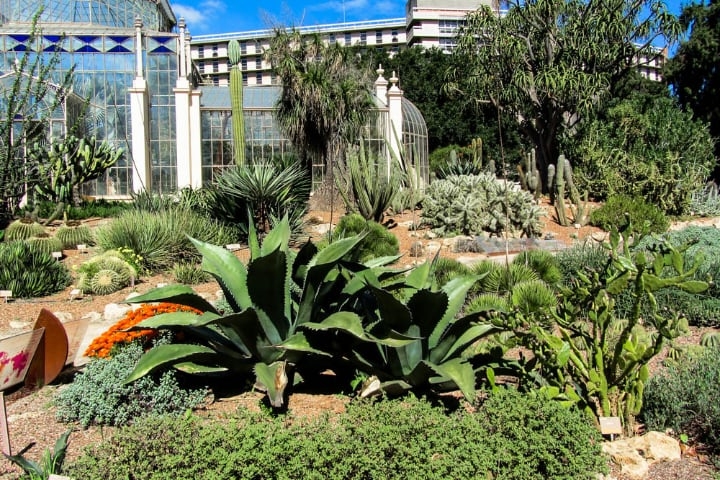 adelaide botanic garden adelaide botanic garden