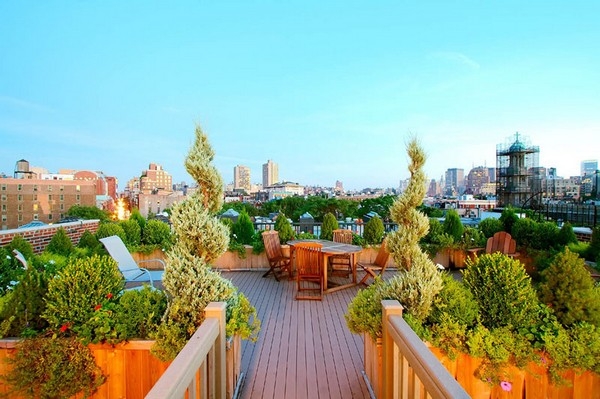 Amazing Urban Garden Amazing Urban Garden