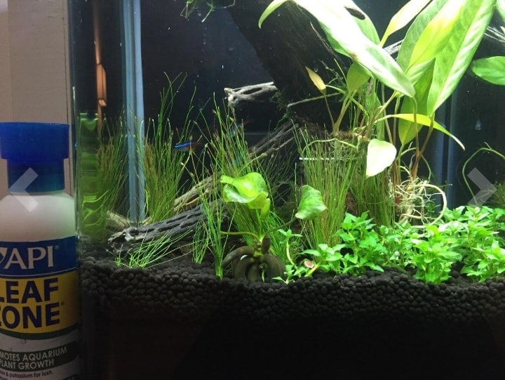 aquarium plant fertilizer beside tank aquarium plant fertilizer beside tank