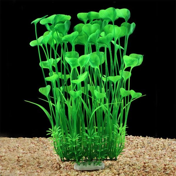 aquarium plants dying aquarium plants dying
