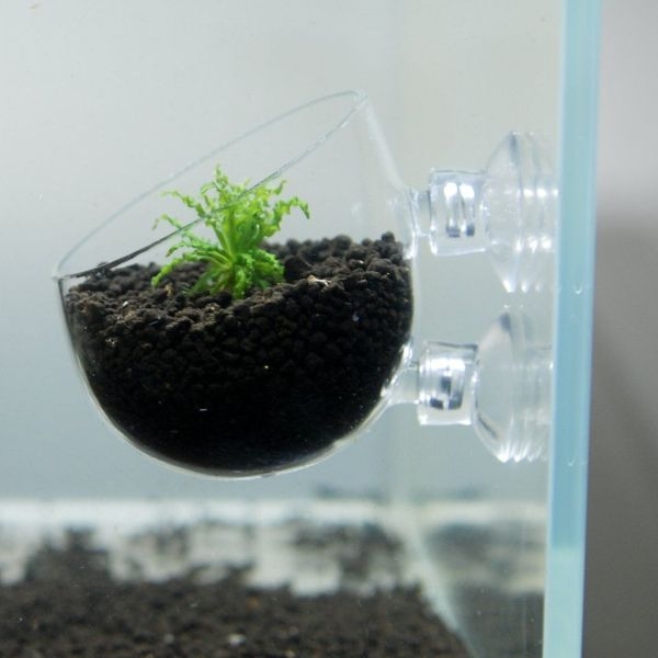 aquarium plants plastic aquarium plants plastic