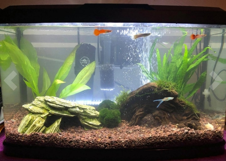 aquarium substrate aquarium substrate