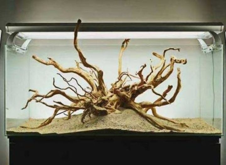 aquascaping driftwood aquascaping driftwood