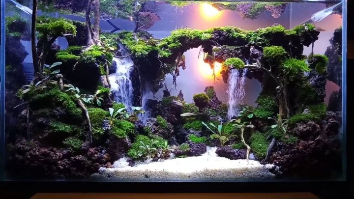 live rock aquascaping ideas