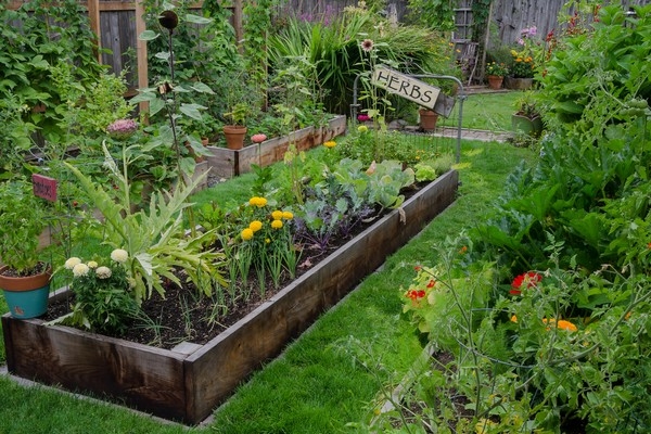 Backyard Garden Backyard Garden
