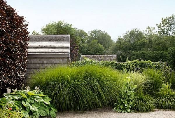 Backyard Ideas On A Budget Backyard Ideas On A Budget