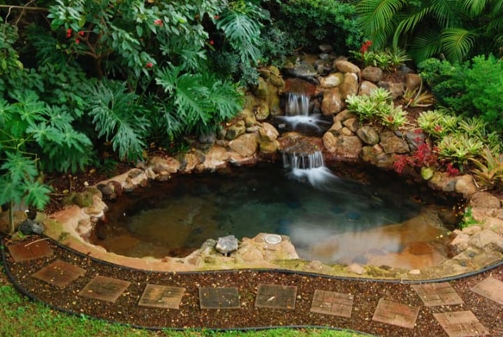 backyard waterfall backyard waterfall