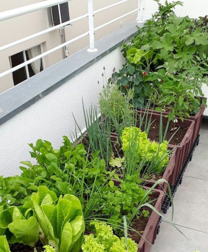 33 Great Balcony Garden Ideas With A Diy Balcony Guide Foter 