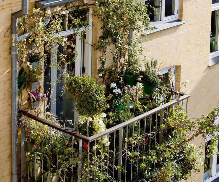 33 Great Balcony Garden Ideas With A Diy Balcony Guide Foter