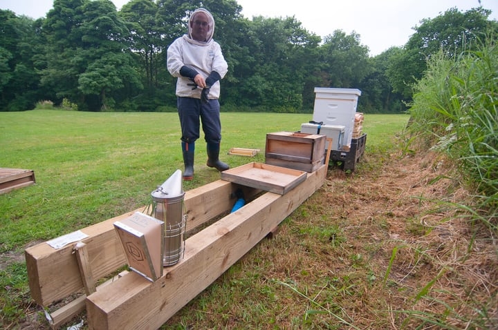 bee hive stand bee hive stand