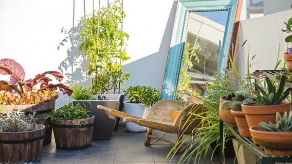 Best Gardening Designs Best Gardening Designs