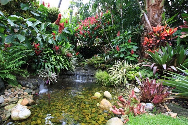 Best Tropical Garden Best Tropical Garden