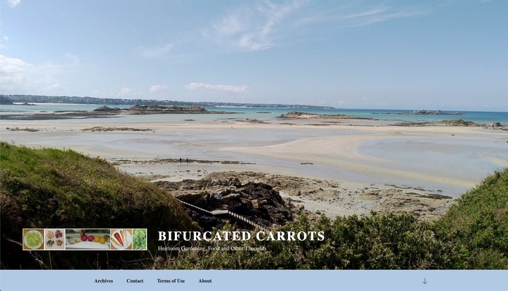 bifurcated carrot best vegetable garden website bifurcated carrot best vegetable garden website