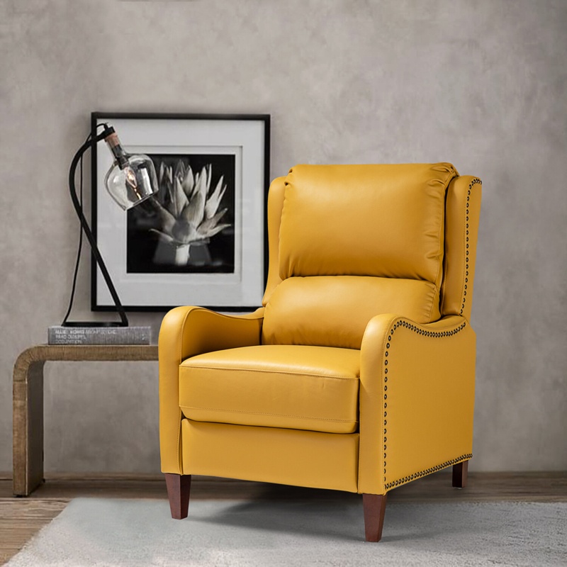Bipasha Leather Recliner