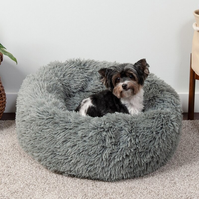 Bean Bag Dog Bed Ideas on Foter