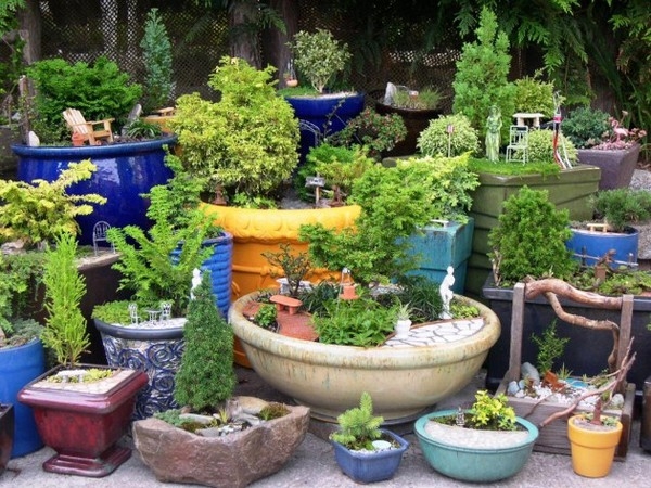 Bonsai Garden Bonsai Garden