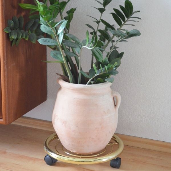 brass plant stands brass plant stands