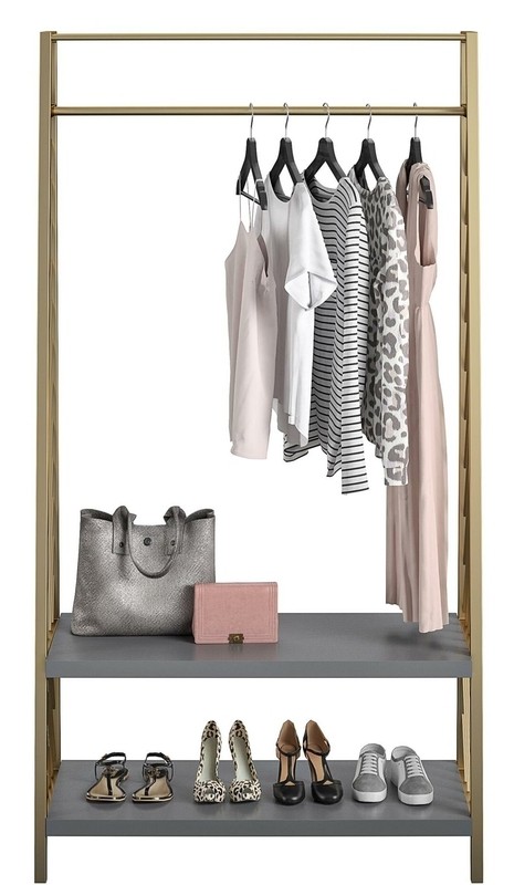 Brielle 37.4'' Wide Steel Hall Tree with Shoe Storage