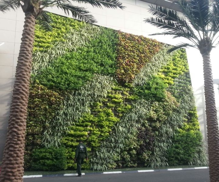 building a plant wall building a plant wall