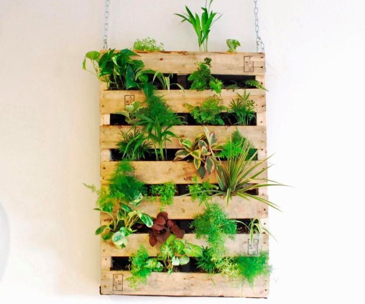 building a plant wall building a plant wall