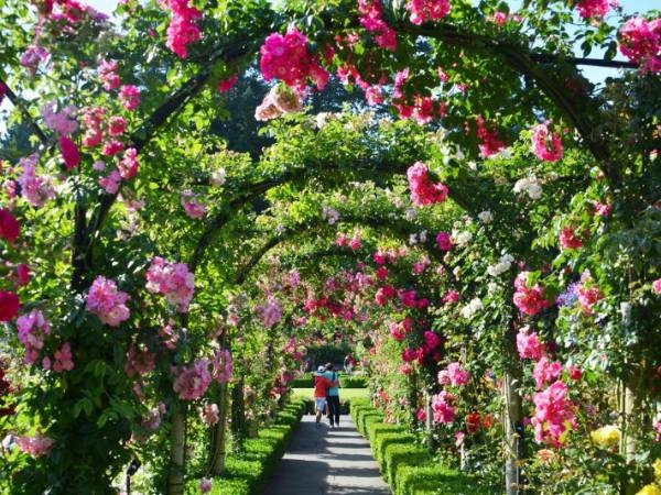 Butchart Gardens Butchart Gardens