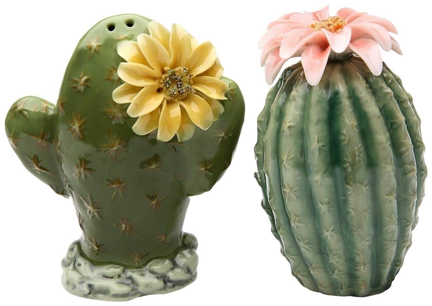 Cactus Shaped Unique Salt and Pepper Shakers 