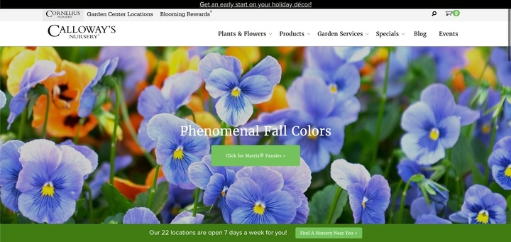 calloways nursery calloways nursery