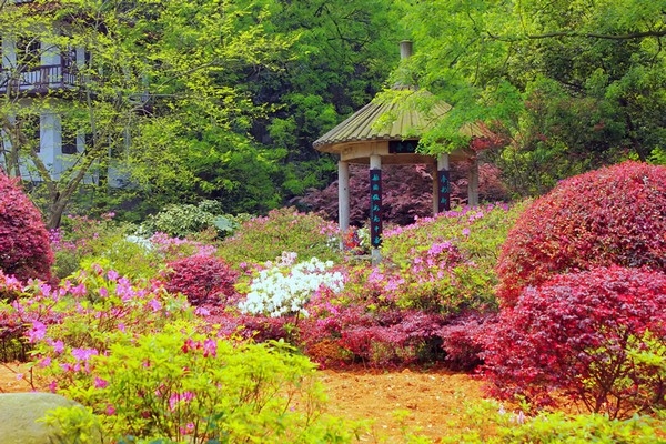 Cheap Gazebo Cheap Gazebo