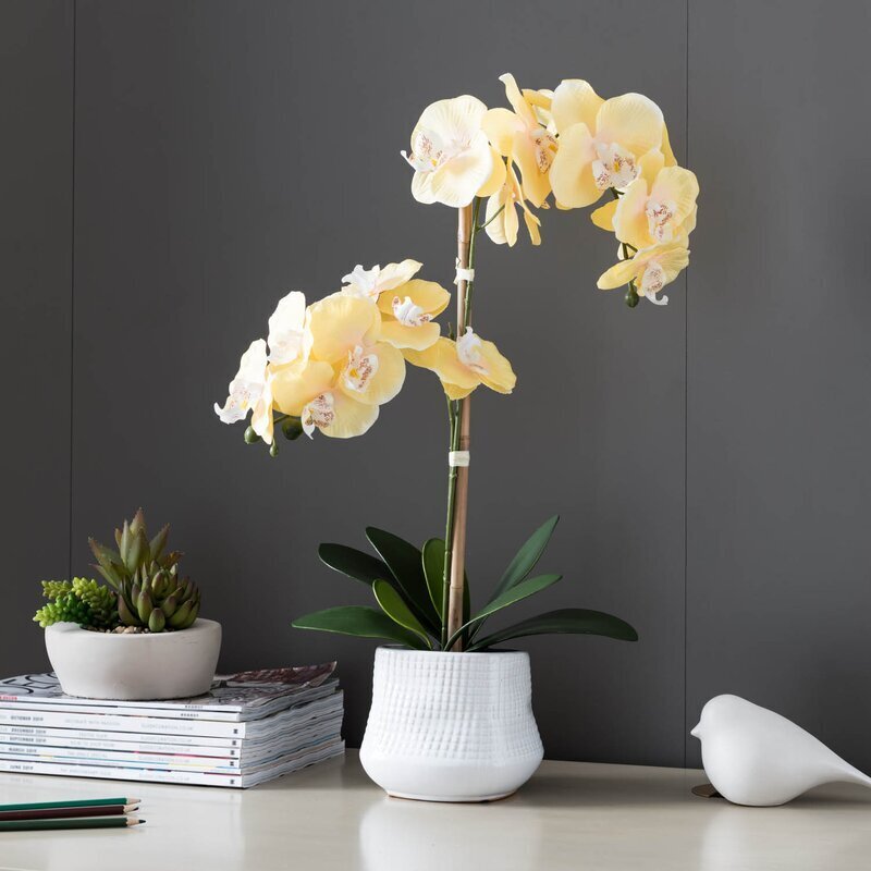 Cheerful Orchid Flower Arrangement Ideas