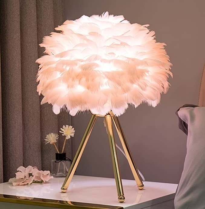 Chic modern lampshade with feathers