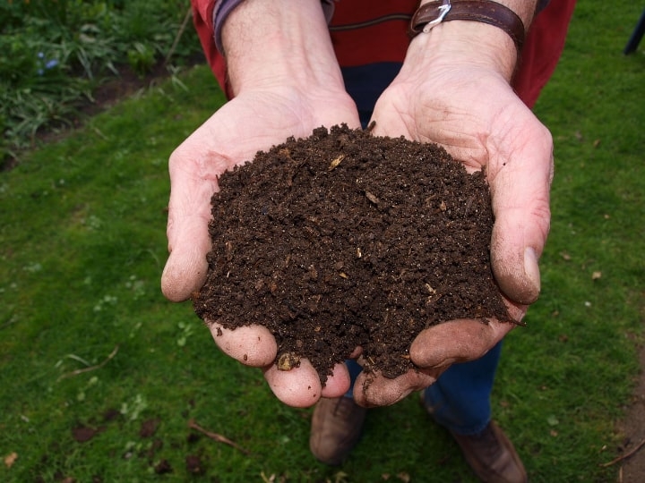 compost compost