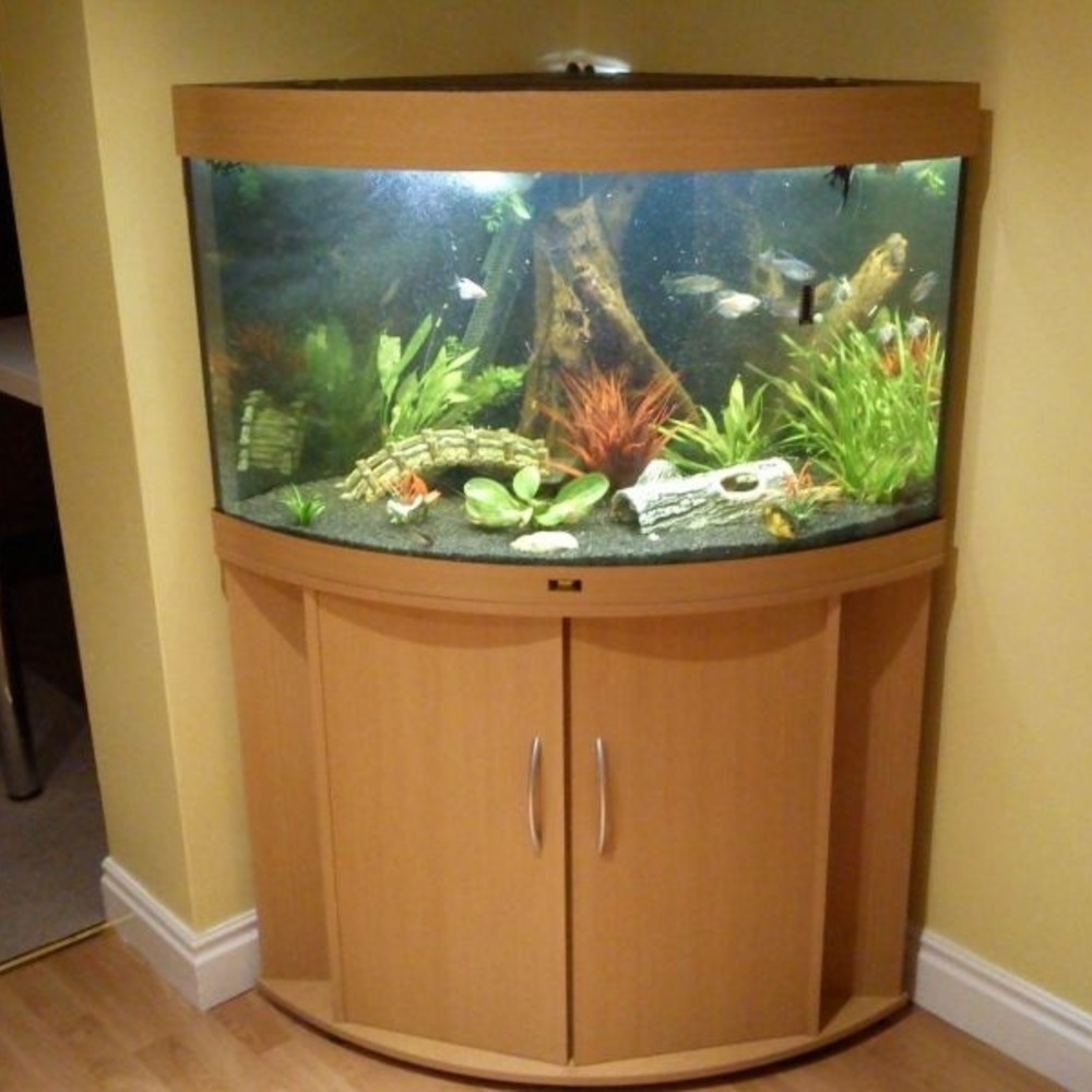 cool fish bowl ideas