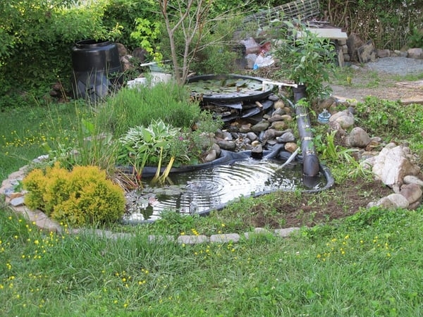 cost effective diy landscaping cost effective diy landscaping