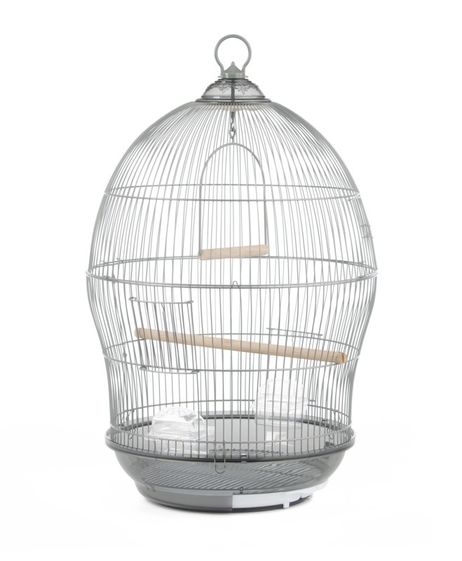 Cotto 30'' Dome Top Hanging Bird Cage with Perch