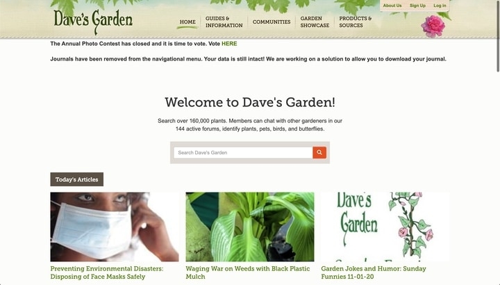 daves garden best plant information website daves garden best plant information website