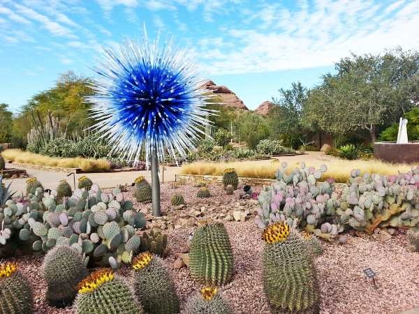 Desert Botanical Garden Desert Botanical Garden
