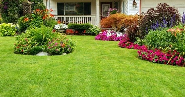 Desert Landscaping Ideas Desert Landscaping Ideas