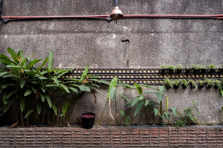 diy backyard wall garden diy backyard wall garden