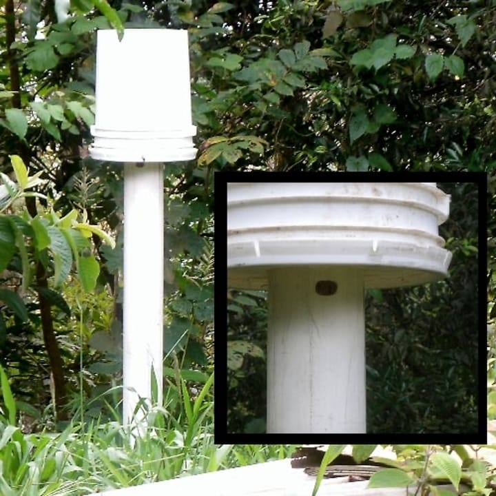 diy bucker beehive diy bucker beehive