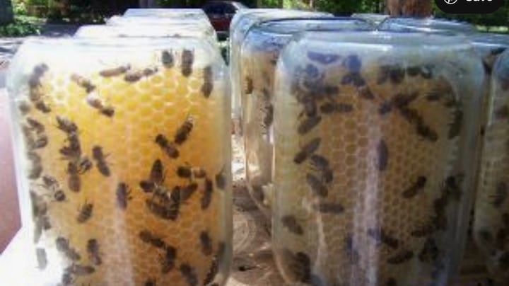 diy jar hive diy jar hive