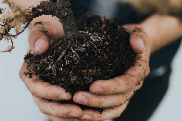 diy landscaping ideas diy landscaping ideas