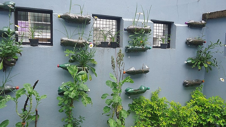 diy wall garden using repurposed bottles diy wall garden using repurposed bottles
