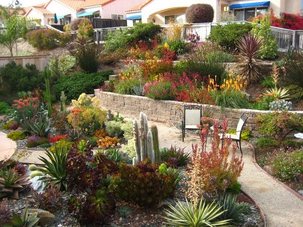 Drought Tolerant Gardening Design Drought Tolerant Gardening Design